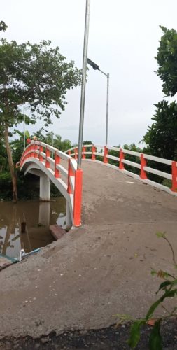 Cập Nhật Thông Tin Chương Trình “Nhịp Cầu Yêu Thương 2020” (C248)
