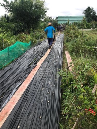 Cập Nhật Thông Tin Chương Trình “Nhịp Cầu Yêu Thương 2020” (C248)