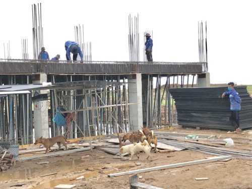 Tổng Kết Chương Trình Hùn Phước Xây Dựng Chùa Quan Âm Đông Hải (QAĐH-2)