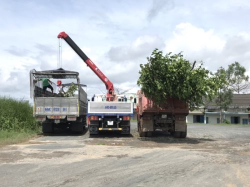 Tổng Kết Chương Trình Cúng Dường Xe Tải Gắn Cẩu Tự Hành (C259)