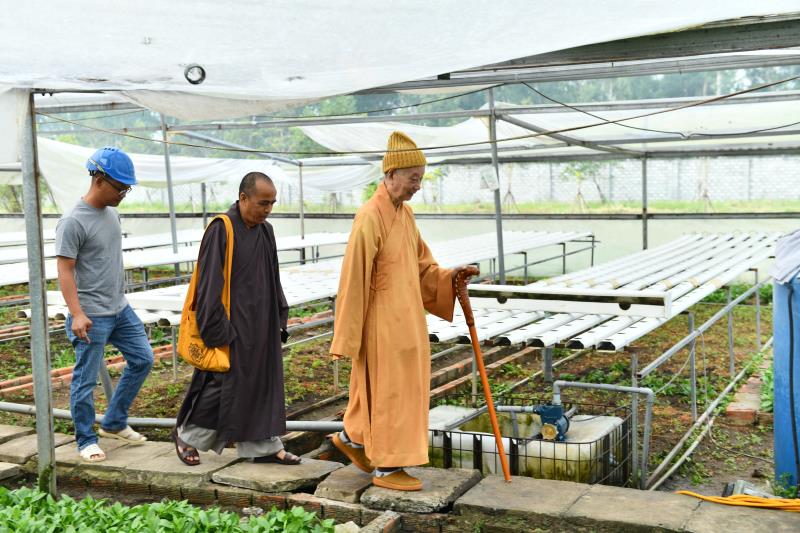 HT. Thích Trí Quảng cùng chư Tôn đức Hội đồng Điều hành khảo sát thực địa chuẩn bị xây dựng tòa Học đường 2 và Thư viện tại cơ sở II
