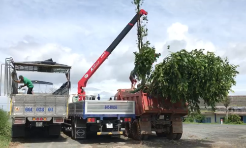 Tổng Kết Chương Trình Cúng Dường Xe Tải Gắn Cẩu Tự Hành (C259)