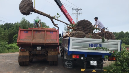 Tổng Kết Chương Trình Cúng Dường Xe Tải Gắn Cẩu Tự Hành (C259)