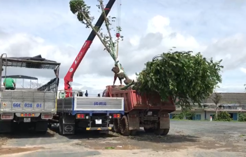 Tổng Kết Chương Trình Cúng Dường Xe Tải Gắn Cẩu Tự Hành (C259)