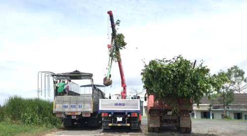 Tổng Kết Chương Trình Cúng Dường Xe Tải Gắn Cẩu Tự Hành (C259)