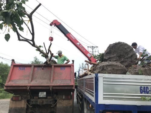 Tổng Kết Chương Trình Cúng Dường Xe Tải Gắn Cẩu Tự Hành (C259)