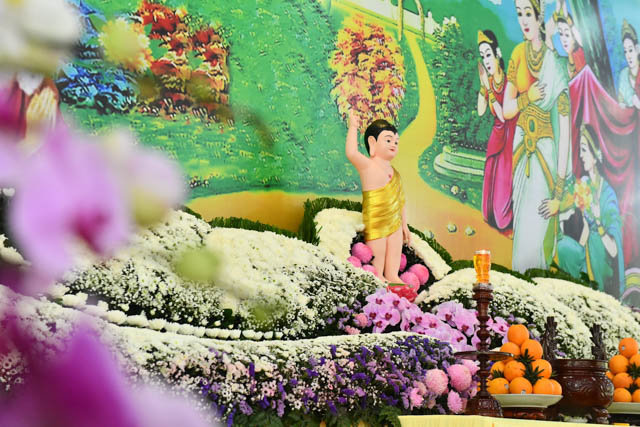 Trang nghiêm Lễ tắm Phật tại Học viện Phật giáo Việt Nam tại TP.HCM