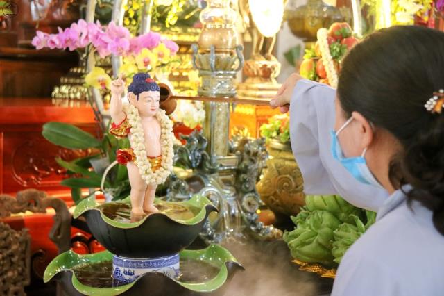 Con đã thấy Thế Tôn trong muôn loài!
