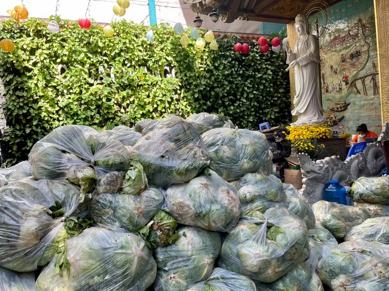 Chùa Giác Ngộ Mua &quot;Giải Cứu&quot; 70 Tấn Bắp Cải, Tiếp Sức Cho Người Dân Trong Mùa “Bão Covid-19”