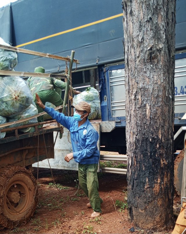 Chùa Giác Ngộ Mua &quot;Giải Cứu&quot; 70 Tấn Bắp Cải, Tiếp Sức Cho Người Dân Trong Mùa “Bão Covid-19”