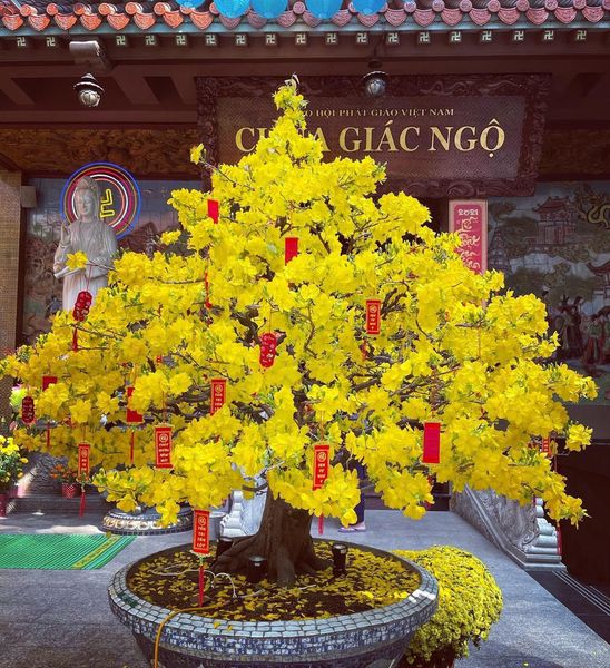 Tổng Kết Chương Trình Cúng Dường Trai Phạn Và Hộ Trì Cho Khóa Tu (GN7)