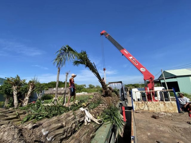 Cúng Dường Xây Dựng Chùa Quan Âm Đông Hải Tại Sóc Trăng (Qađh-3)