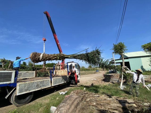 Cúng Dường Xây Dựng Chùa Quan Âm Đông Hải Tại Sóc Trăng (Qađh-3)