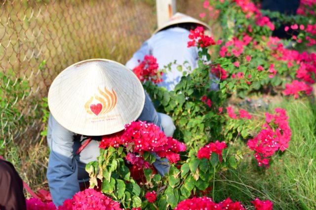 Cúng Dường Xây Dựng Chùa Quan Âm Đông Hải Tại Sóc Trăng (Qađh-3)