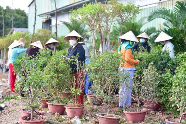 Cúng Dường Xây Dựng Chùa Quan Âm Đông Hải Tại Sóc Trăng (Qađh-3)