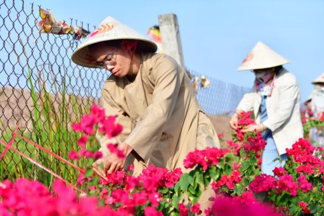 Cúng Dường Xây Dựng Chùa Quan Âm Đông Hải Tại Sóc Trăng (Qađh-3)