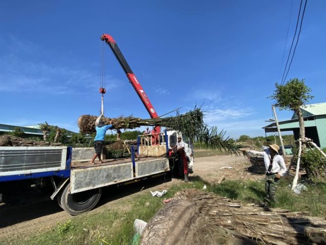 Cúng Dường Xây Dựng Chùa Quan Âm Đông Hải Tại Sóc Trăng (Qađh-3)