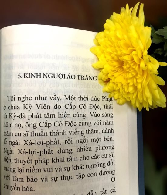 Ấn Tống Pháp Bảo (C267)