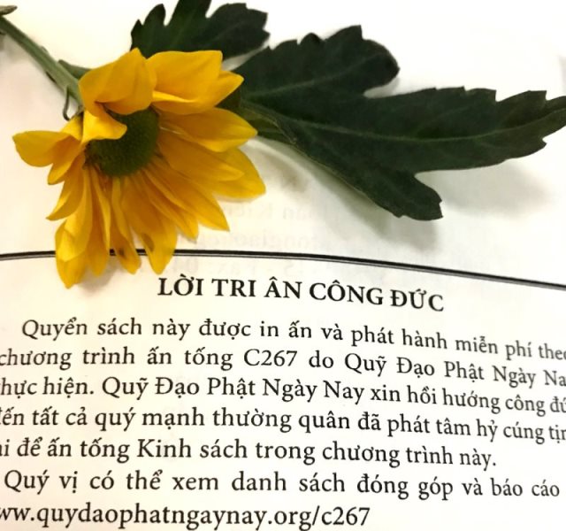 Ấn Tống Pháp Bảo (C267)
