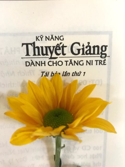 Ấn Tống Pháp Bảo (C267)