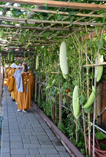 Trang nghiêm Tịnh nghiệp Đạo tràng - An cư kiết hạ chư Tôn đức Tăng, Ni miền Bắc California tại Tu viện Huyền Không, San Jose, Hoa Kỳ