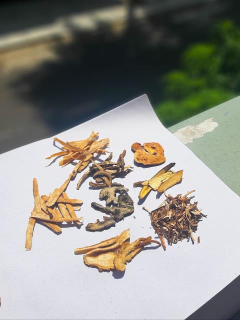 Đồng Nai: Phái đoàn ban trị sự GHPGVN tỉnh Đồng Nai viếng thăm trường hạ tổ đình Long Thiền, Quốc Ân Kim Cang