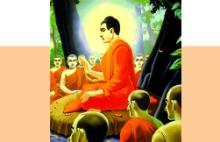 "Vô Ngã" Còn Phải "Vô Pháp" Chăng?