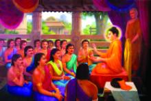 Trần Gian Này Khổ Hay Vui?