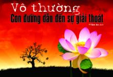 Vô thường con đường dẫn đến sự giải thoát