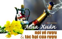 Mùa Xuân nói về rượu và tác hại của rượu