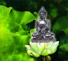 Hương sen hương đức hạnh
