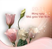 Tản mạn về ngày 20 tháng 11
