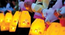 Phật đản tại Seoul: Đại dương ánh sáng tôn vinh Đức Phật