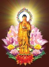 Bản Ý Của Tịnh Độ Tông