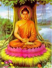 Thuyết Bốn Ðế - 07. Đạo đế