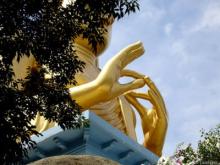 Trường phái Dharmaguptaka (Đàm-vô-đức bộ)