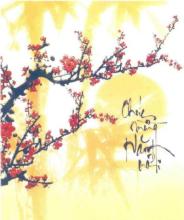 Xuân Viễn Xứ