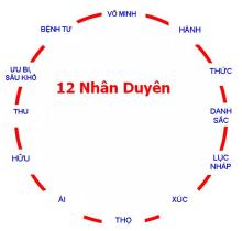 Ứng Dụng Lý Nhân Duyên Để Thấu Triệt Lời Phật Dạy