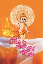 Theo Dấu Chân Xưa