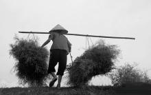 Gia Tài Của Mẹ