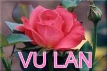 Nghi Thức Lễ Vu Lan