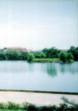 Tuyển tập10 bài – Tình Tự Quê Hương 04