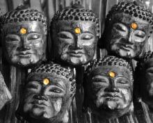 Thánh nhân trong kinh điển Pali