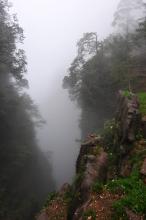 Tĩnh Niệm