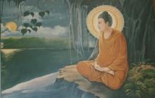 Con đường tìm chân lý của Ðức Phật