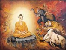 Một vài suy tưởng nhân kỷ niệm ngày Phật thành đạo