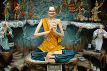 Nhận định về sự thành đạo của Thế Tôn