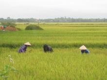 Đời Sống Đẹp