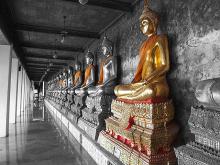 Ứng thân Phật trong phạn ngữ
