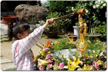 Phật đản sẽ là ngày hội của toàn dân tộc